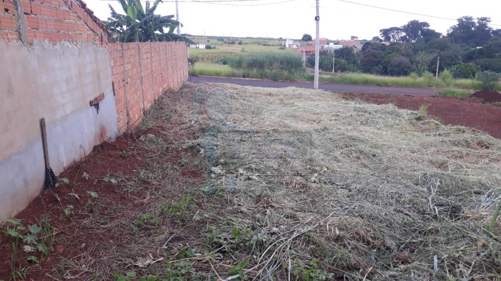 Comprar Terreno / Padrão em Brodowski R$ 96.000,00 - Foto 4