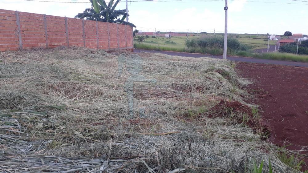 Comprar Terreno / Padrão em Brodowski R$ 96.000,00 - Foto 5