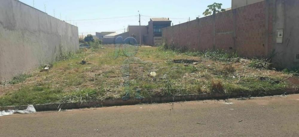 Comprar Terreno / Padrão em Sertãozinho R$ 95.000,00 - Foto 2