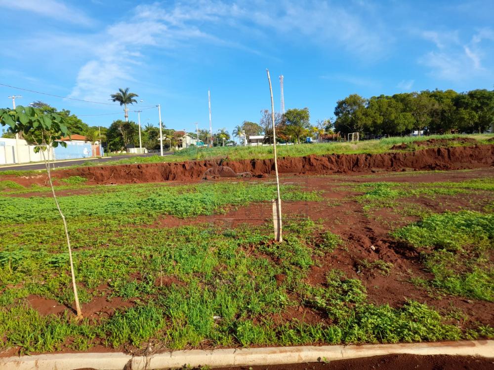 Comprar Terreno / Padrão em Jardinopolis R$ 244.000,00 - Foto 2