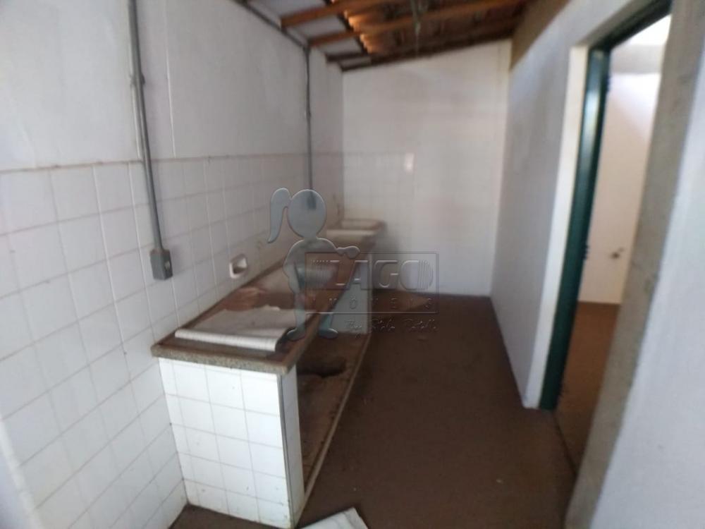 Alugar Comercial padrão / Galpão - Armazém em Ribeirão Preto R$ 10.000,00 - Foto 3