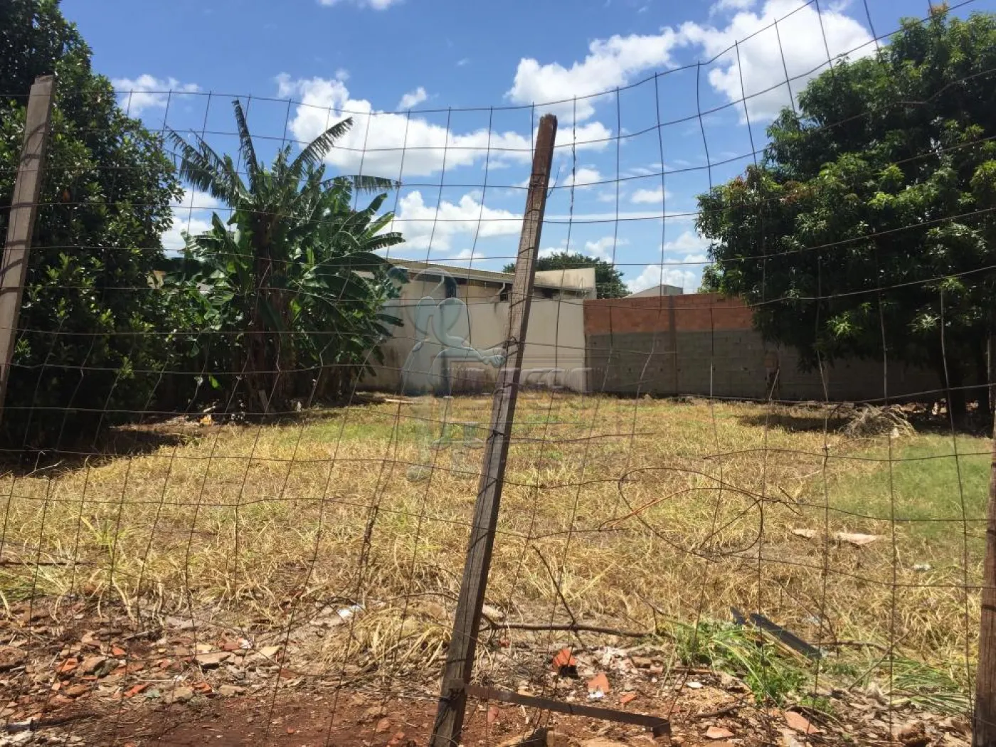 Comprar Terreno / Padrão em Ribeirão Preto R$ 233.200,00 - Foto 2