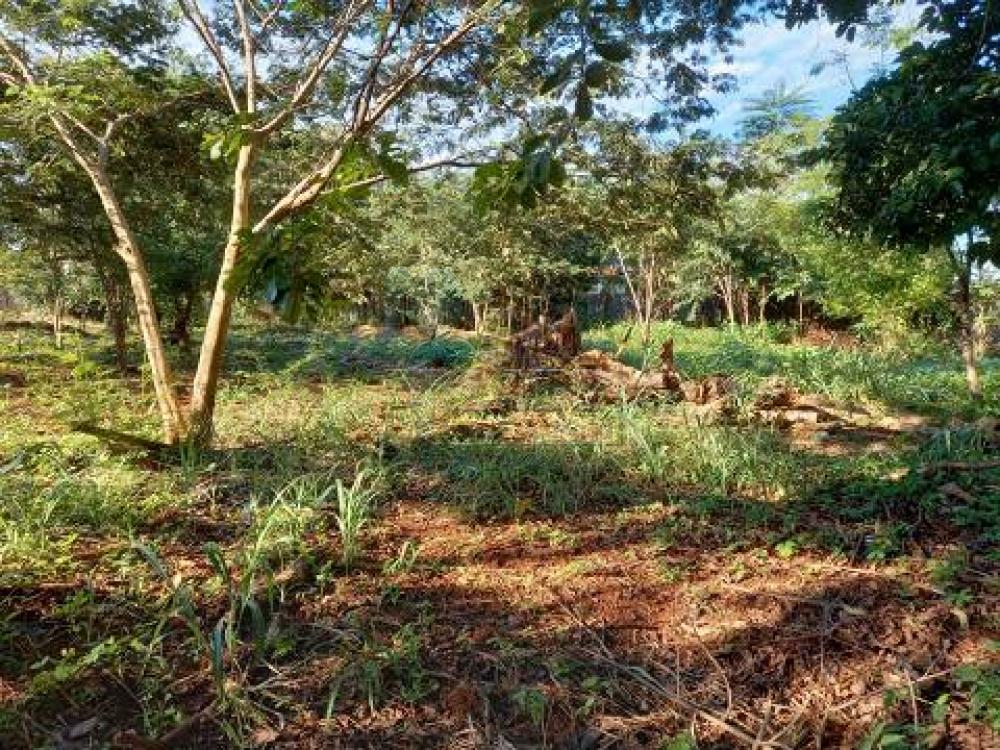 Alugar Terreno / Padrão em Ribeirão Preto R$ 6.000,00 - Foto 1