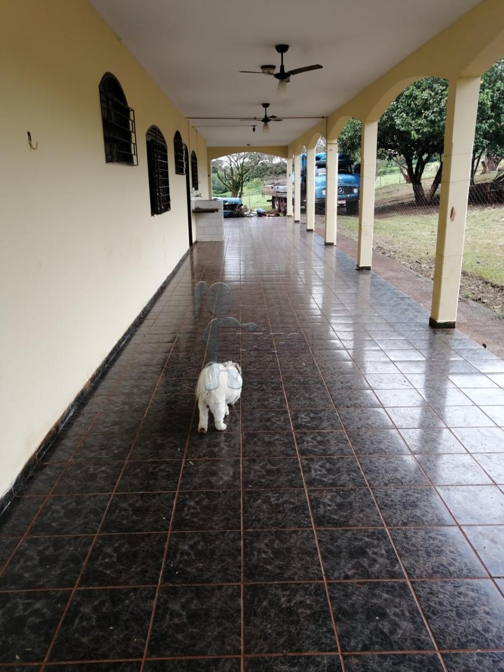 Alugar Rural / Fazenda em Bonfim Paulista R$ 6.000,00 - Foto 15