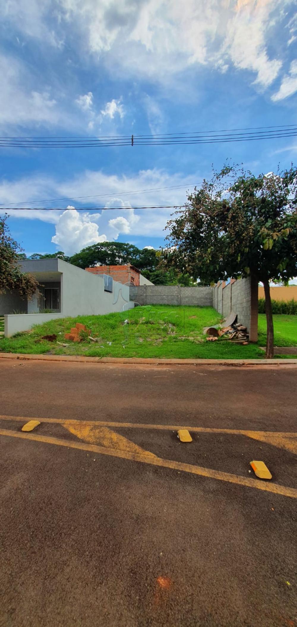 Comprar Terreno / Condomínio em Bonfim Paulista R$ 202.000,00 - Foto 1