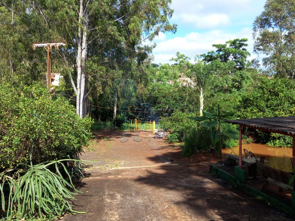 Alugar Rural / Fazenda em Ribeirão Preto R$ 4.500,00 - Foto 12