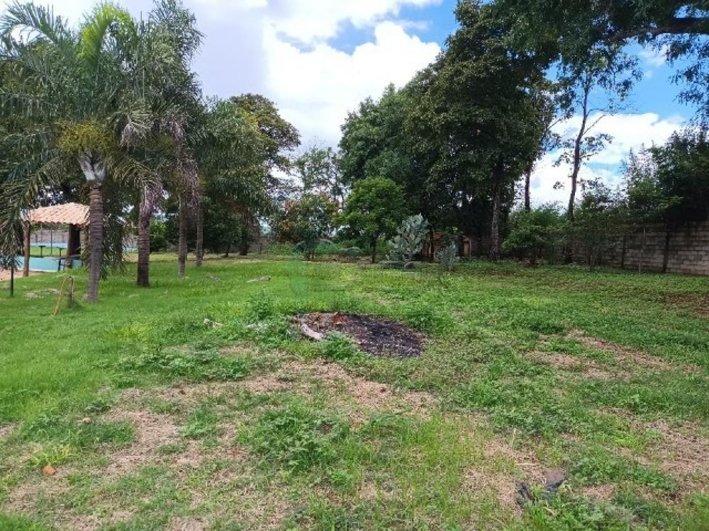 Comprar Casa / Chácara - Rancho em Jardinópolis R$ 340.000,00 - Foto 10