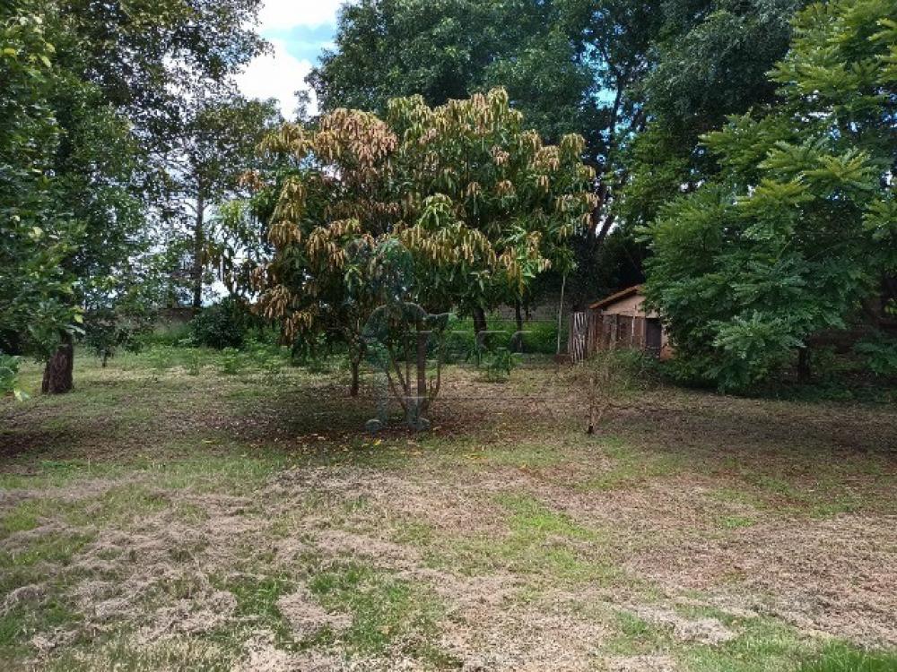 Comprar Casa / Chácara - Rancho em Jardinópolis R$ 340.000,00 - Foto 12