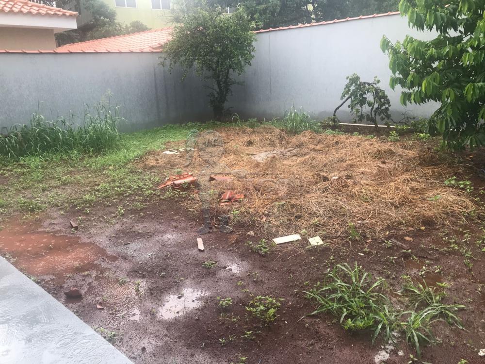 Alugar Casa / Padrão em Jardinópolis R$ 1.600,00 - Foto 12