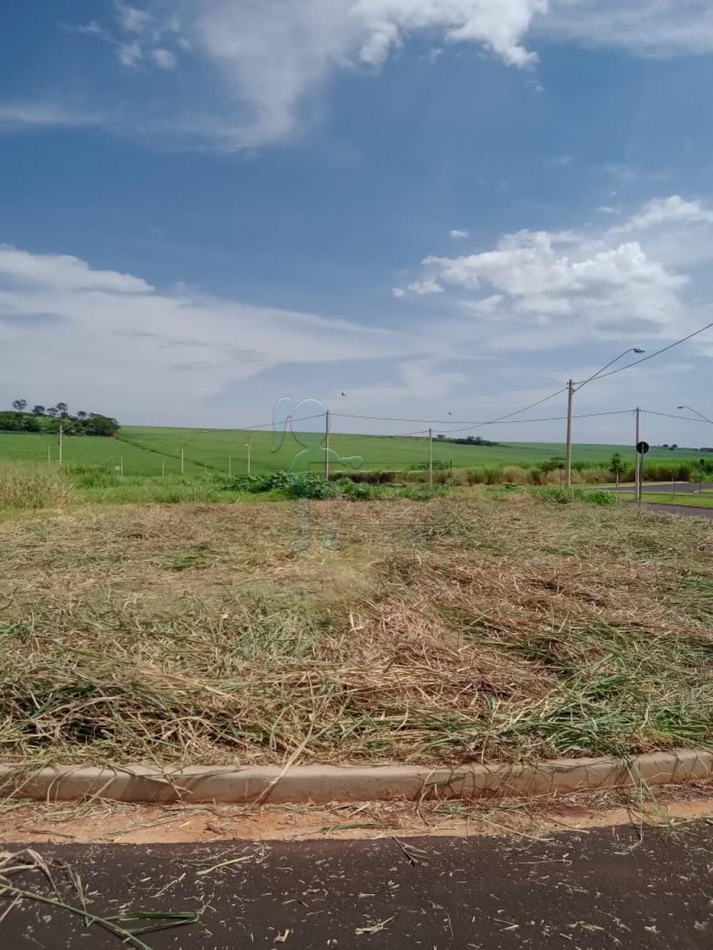 Comprar Terrenos / Padrão em Ribeirão Preto R$ 260.000,00 - Foto 3