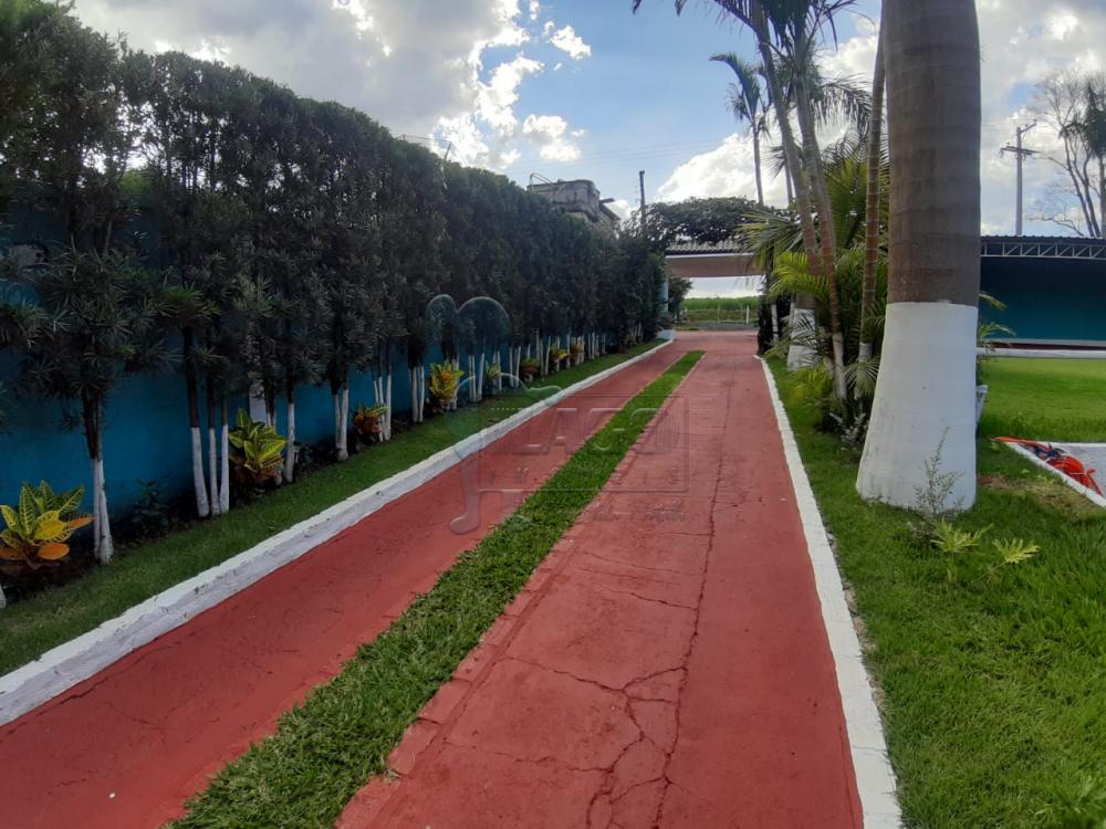 Comprar Casa / Chácara - Rancho em Serrana R$ 1.015.000,00 - Foto 17