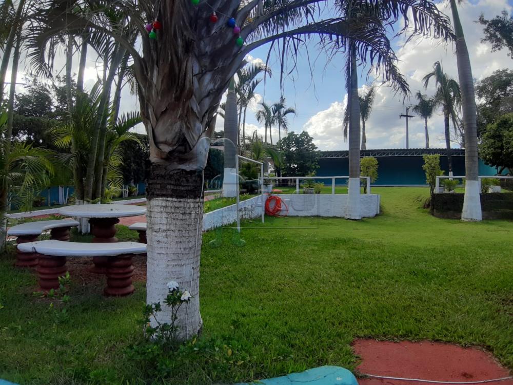 Comprar Casa / Chácara - Rancho em Serrana R$ 1.015.000,00 - Foto 18