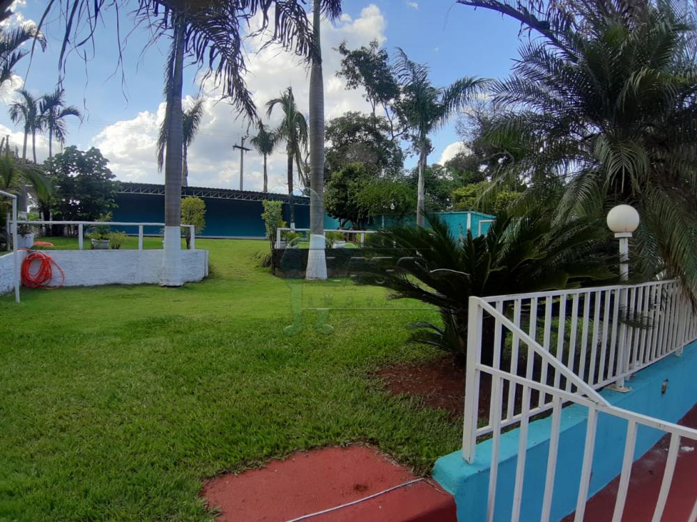 Comprar Casa / Chácara - Rancho em Serrana R$ 1.015.000,00 - Foto 19