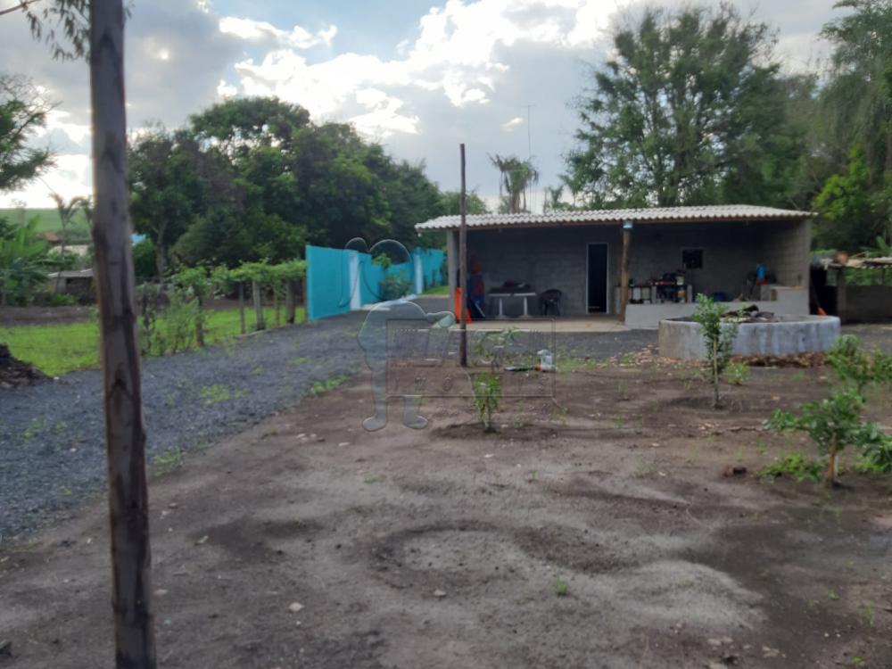 Comprar Casa / Chácara - Rancho em Serrana R$ 1.015.000,00 - Foto 41