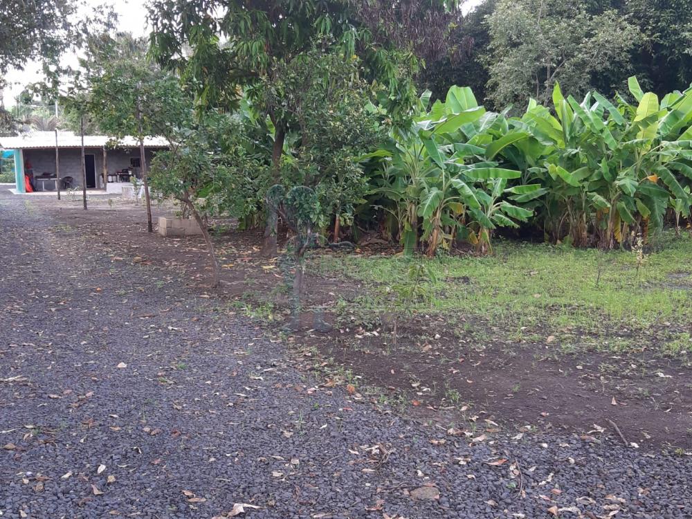 Comprar Casa / Chácara - Rancho em Serrana R$ 1.015.000,00 - Foto 42