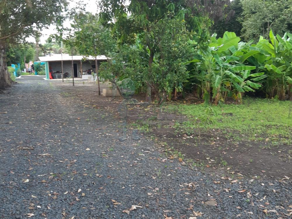 Comprar Casa / Chácara - Rancho em Serrana R$ 1.015.000,00 - Foto 45