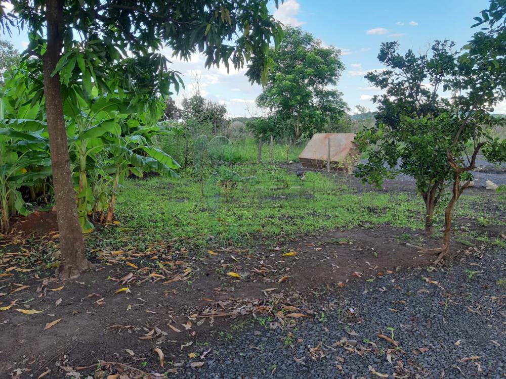 Comprar Casa / Chácara - Rancho em Serrana R$ 1.015.000,00 - Foto 51