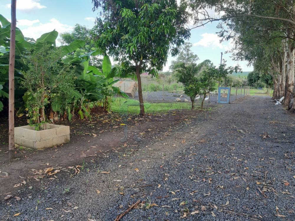 Comprar Casa / Chácara - Rancho em Serrana R$ 1.015.000,00 - Foto 52