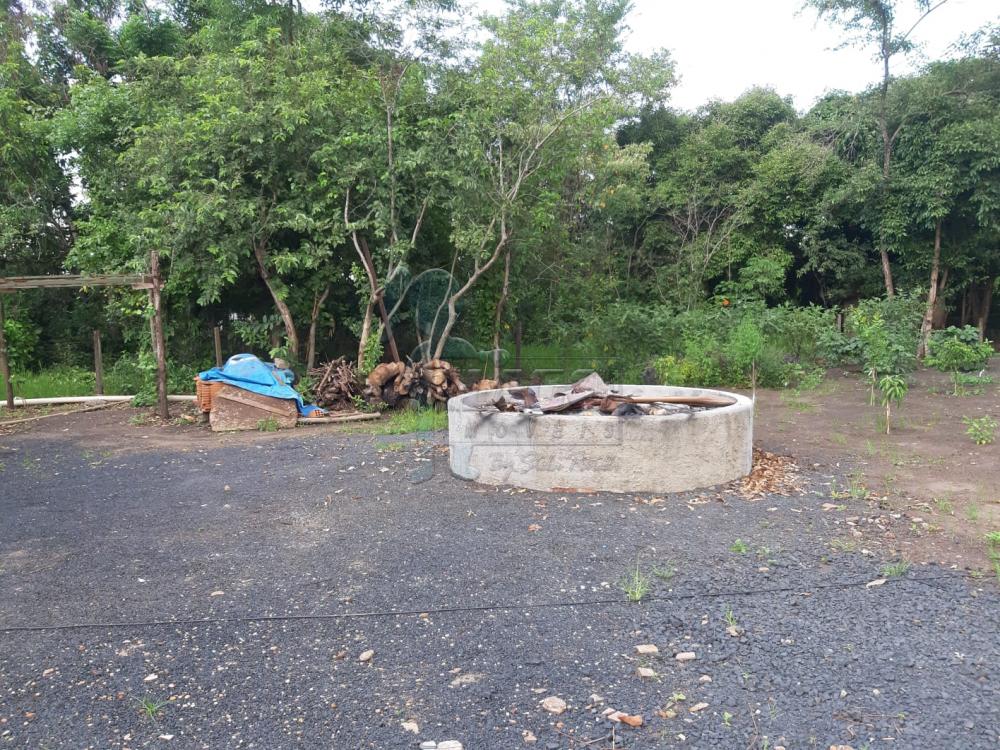 Comprar Casa / Chácara - Rancho em Serrana R$ 1.015.000,00 - Foto 55