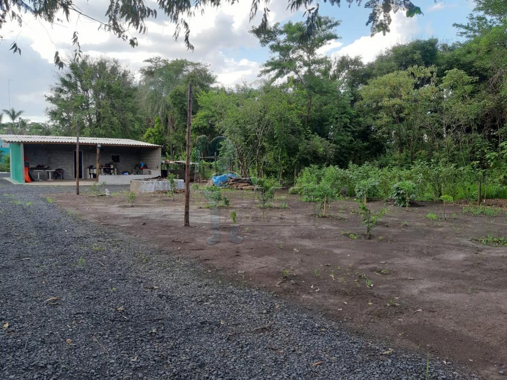 Comprar Casa / Chácara - Rancho em Serrana R$ 1.015.000,00 - Foto 56