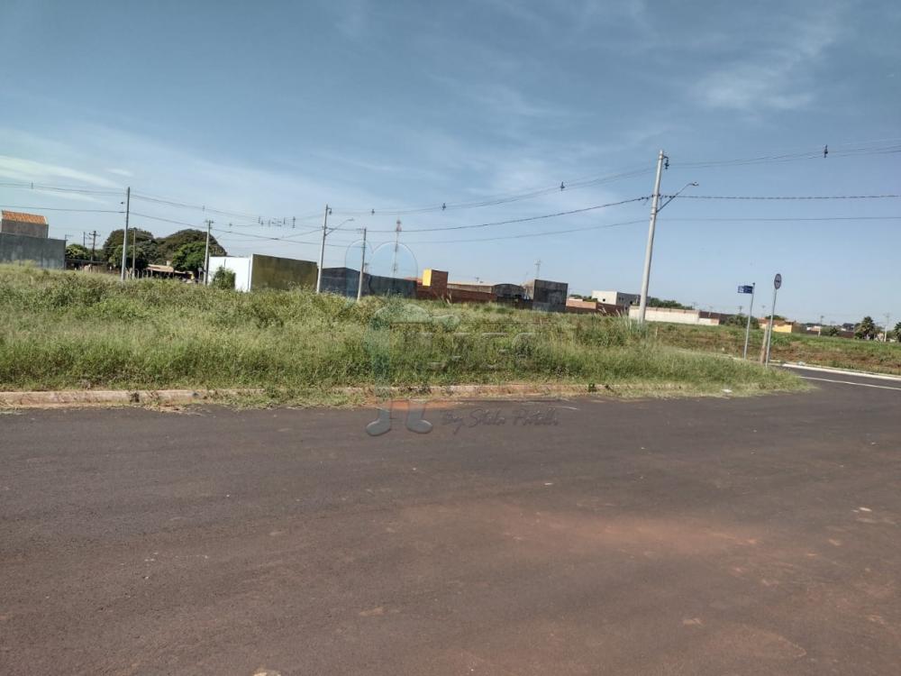 Comprar Terreno / Padrão em Sertãozinho R$ 160.000,00 - Foto 2