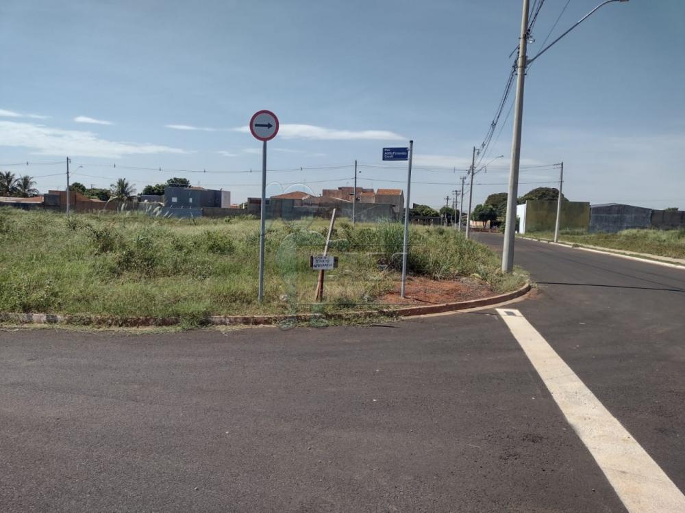 Comprar Terrenos / Padrão em Sertãozinho R$ 160.000,00 - Foto 4