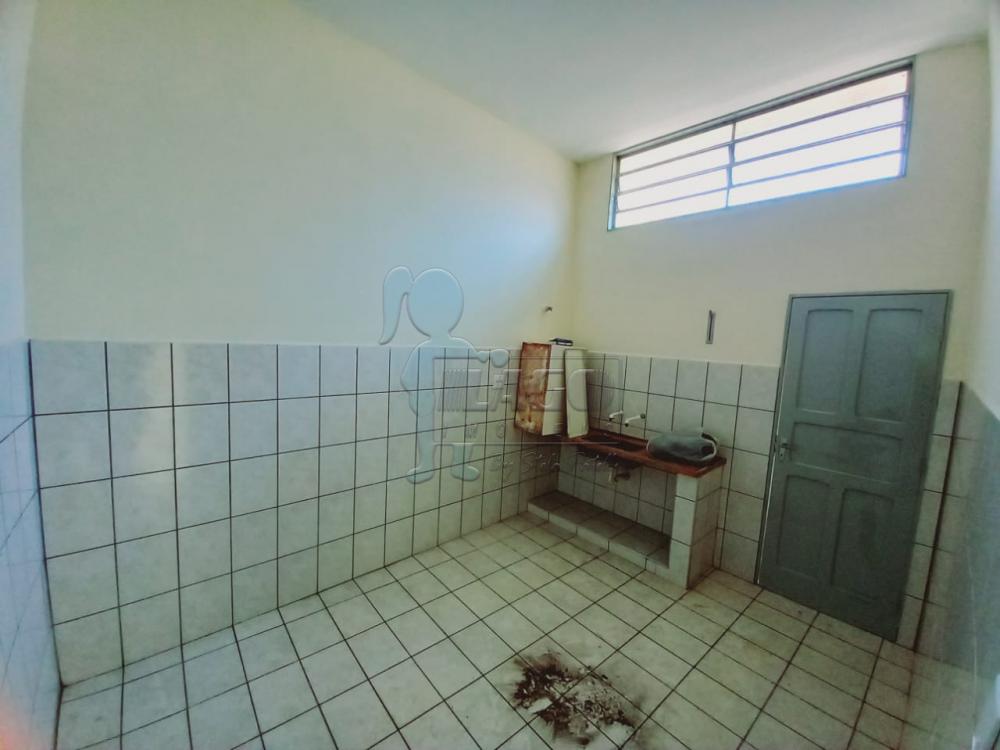 Alugar Casa / Padrão em Ribeirão Preto R$ 800,00 - Foto 3