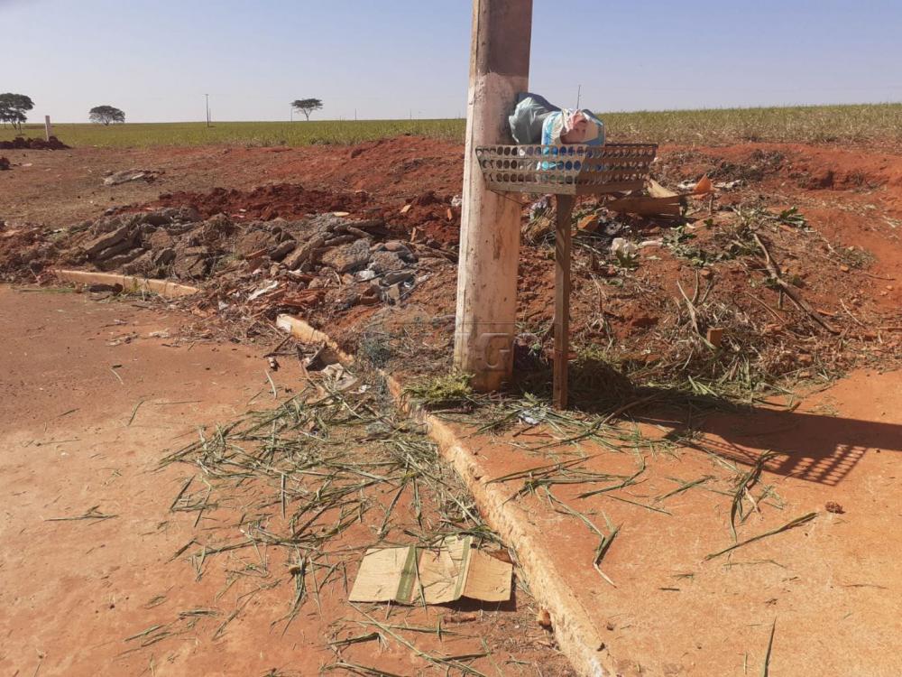 Comprar Terreno / Padrão em Guariba R$ 53.000,00 - Foto 1