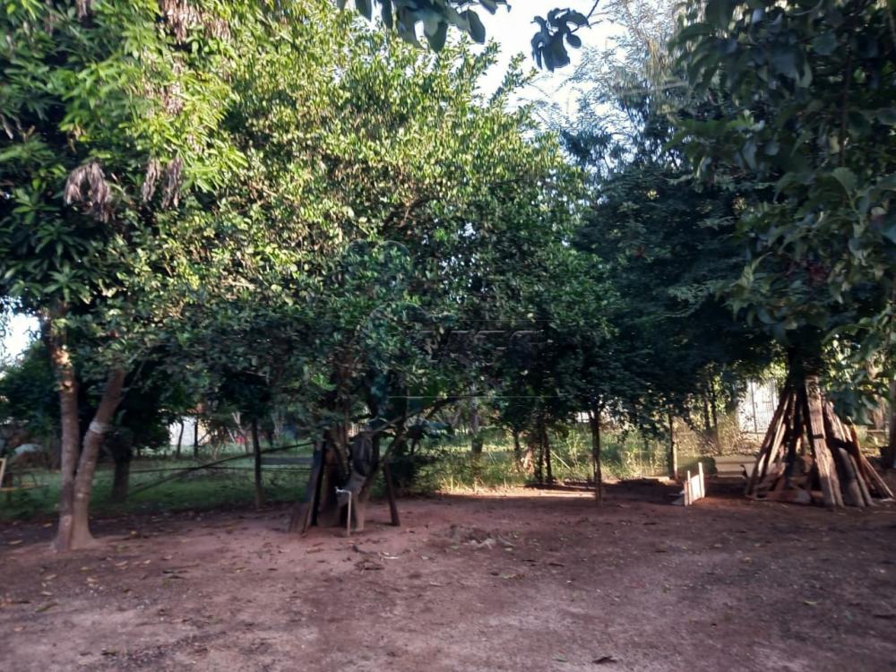 Comprar Casa / Chácara - Rancho em Serra Azul R$ 260.000,00 - Foto 10