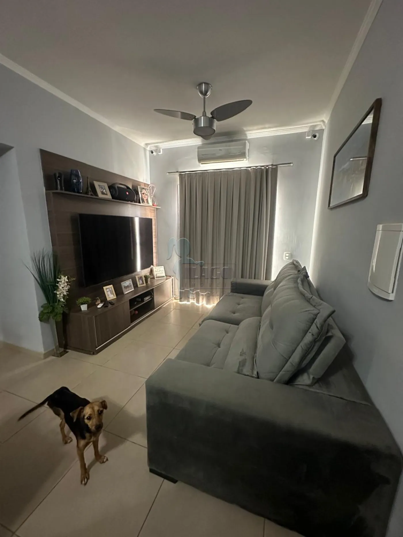 Alugar Apartamento / Padrão em Ribeirão Preto R$ 1.350,00 - Foto 1