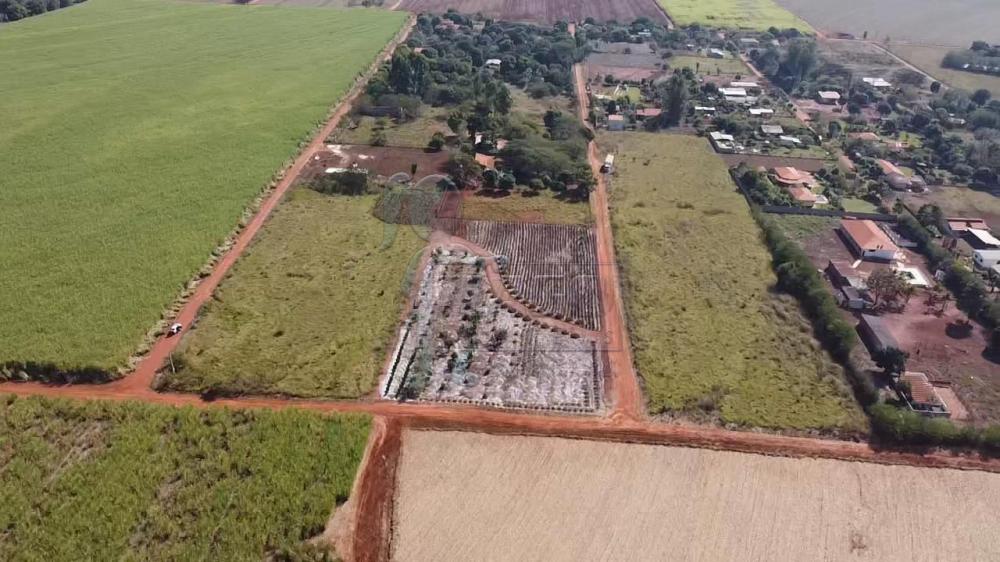 Comprar Terreno / Padrão em Guatapará R$ 120.000,00 - Foto 1