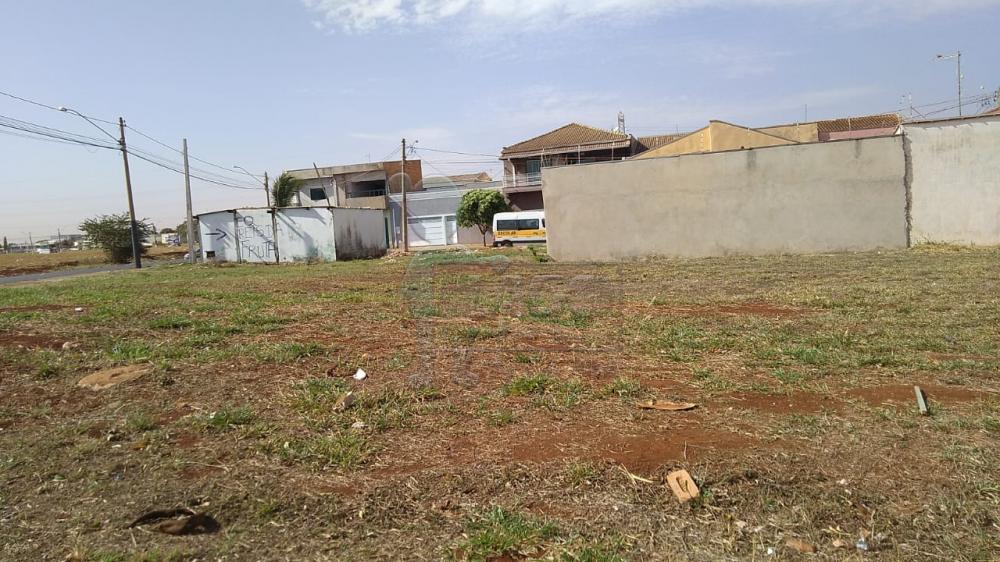 Comprar Terreno / Padrão em Sertãozinho R$ 350.000,00 - Foto 2