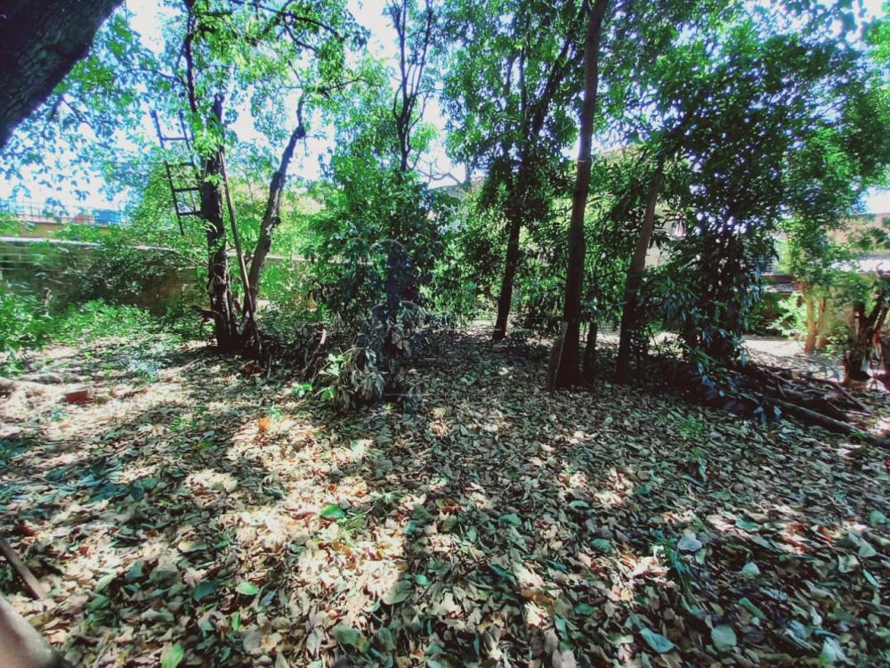 Comprar Terreno / Padrão em Ribeirão Preto R$ 330.000,00 - Foto 3