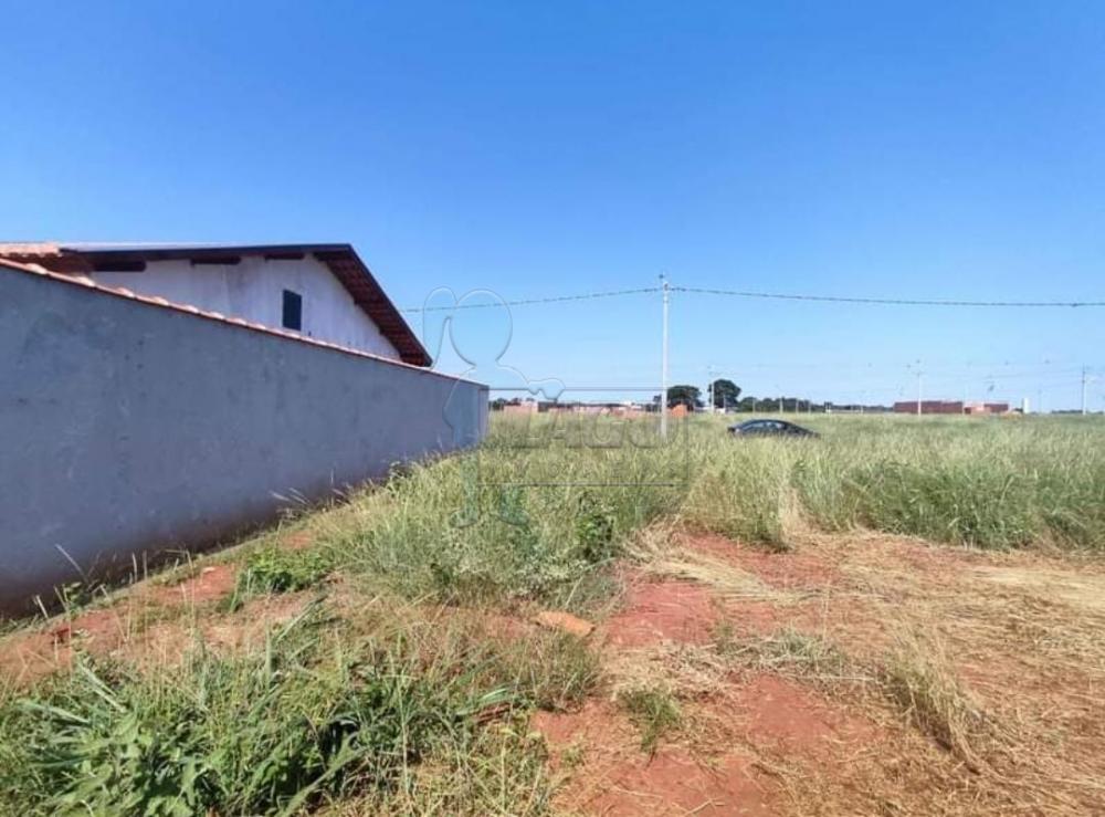 Comprar Terrenos / Padrão em Ribeirão Preto R$ 89.000,00 - Foto 2
