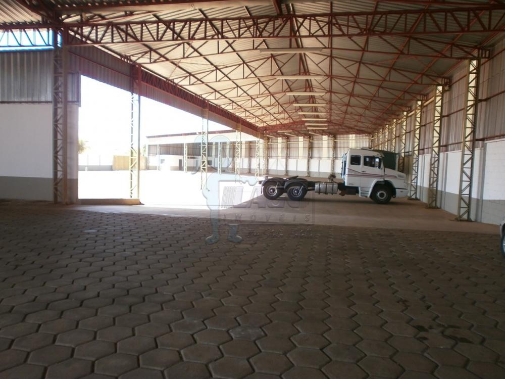 Alugar Comercial padrão / Galpão - Armazém em Luís Antônio R$ 25.000,00 - Foto 2