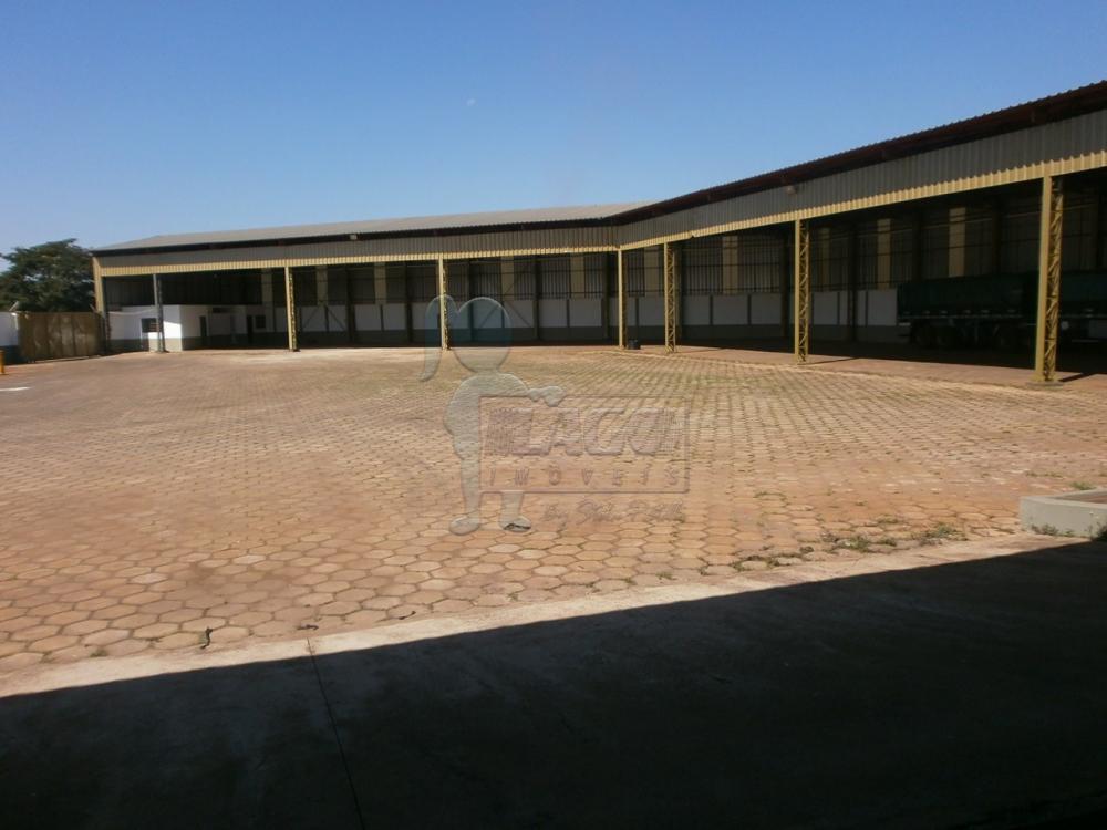 Alugar Comercial padrão / Galpão - Armazém em Luís Antônio R$ 25.000,00 - Foto 1