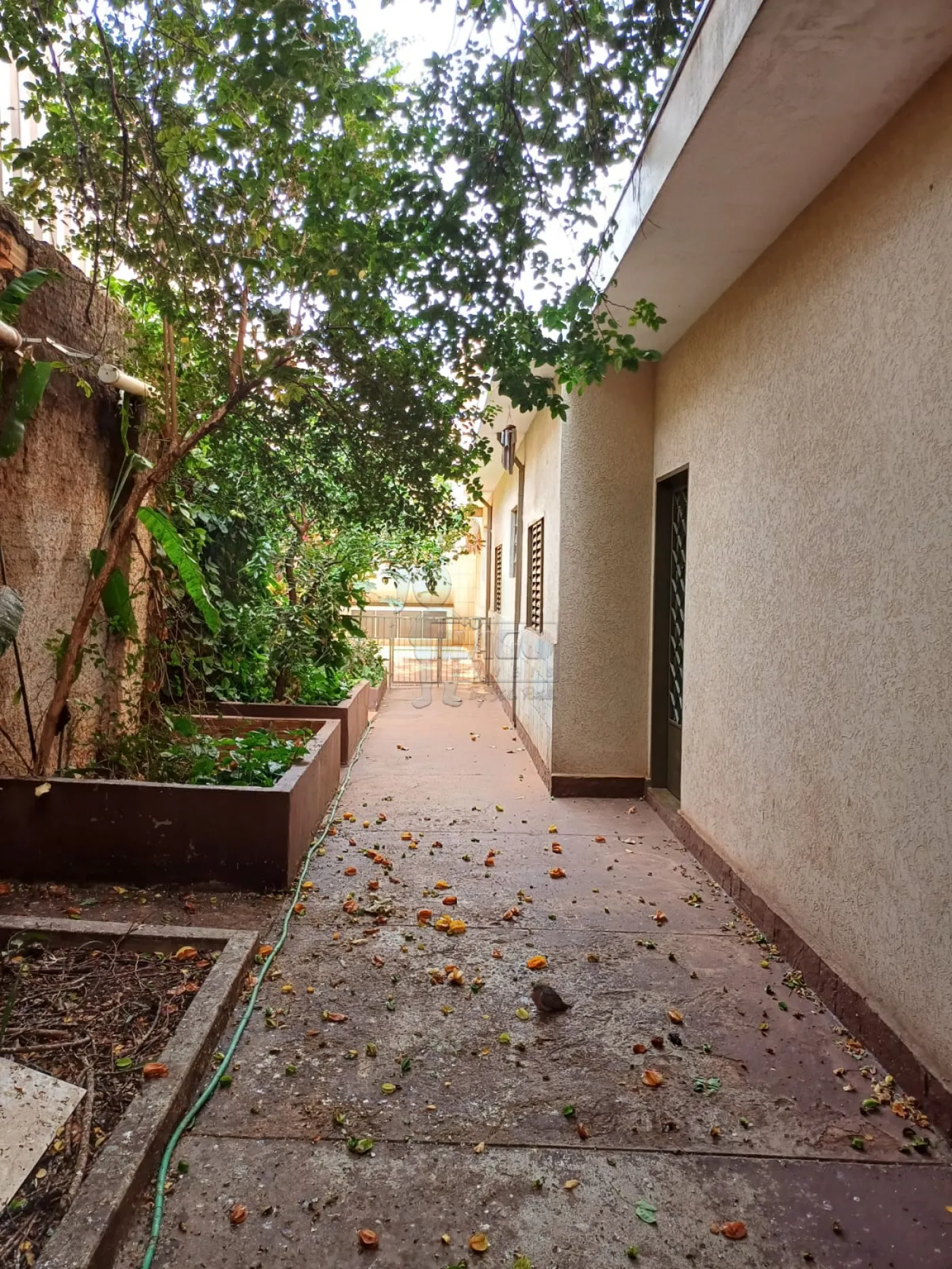 Comprar Casa / Padrão em Ribeirão Preto R$ 850.000,00 - Foto 3