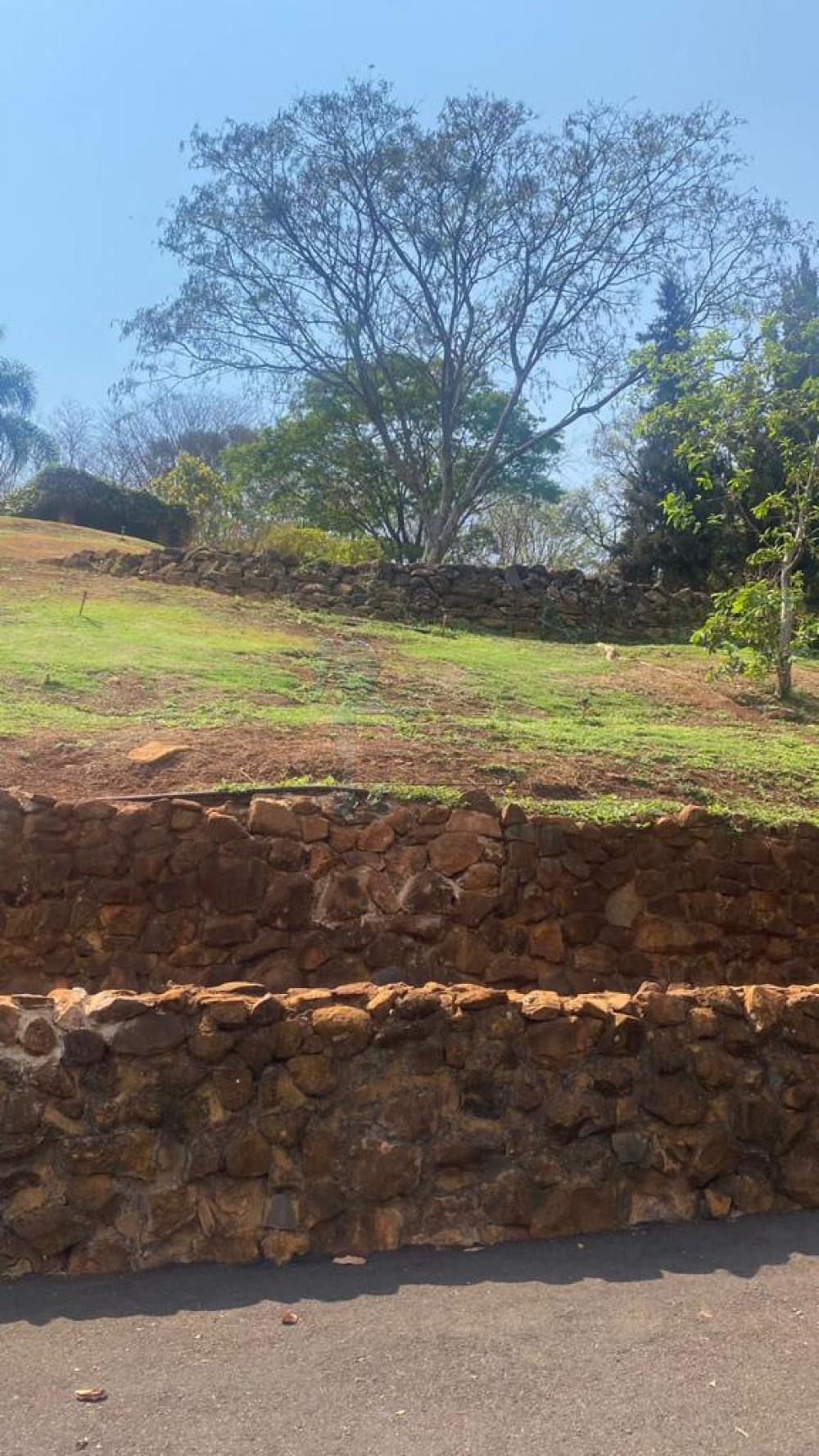 Comprar Terreno / Condomínio em Bonfim Paulista R$ 1.100.000,00 - Foto 6