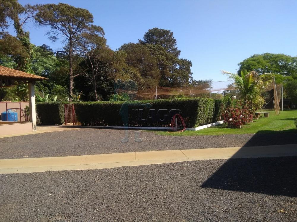 Comprar Casa / Chácara - Rancho em Ribeirão Preto R$ 1.900.000,00 - Foto 5