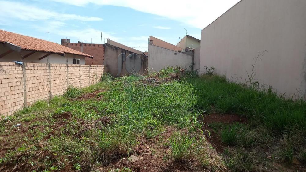 Comprar Terreno / Padrão em Brodowski R$ 100.000,00 - Foto 2