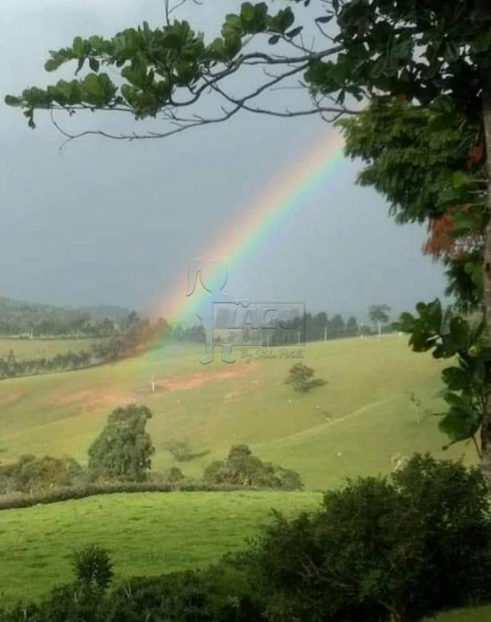 Comprar Rural / Fazenda em Cunha R$ 8.000.000,00 - Foto 8