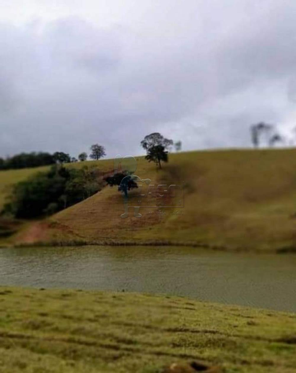 Comprar Rural / Fazenda em Cunha R$ 8.000.000,00 - Foto 5