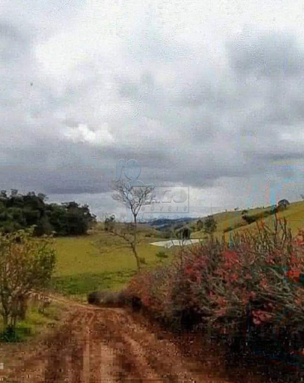 Comprar Rural / Fazenda em Cunha R$ 8.000.000,00 - Foto 6