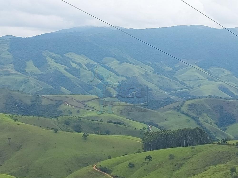 Comprar Rural / Fazenda em Cunha R$ 2.250.000,00 - Foto 2