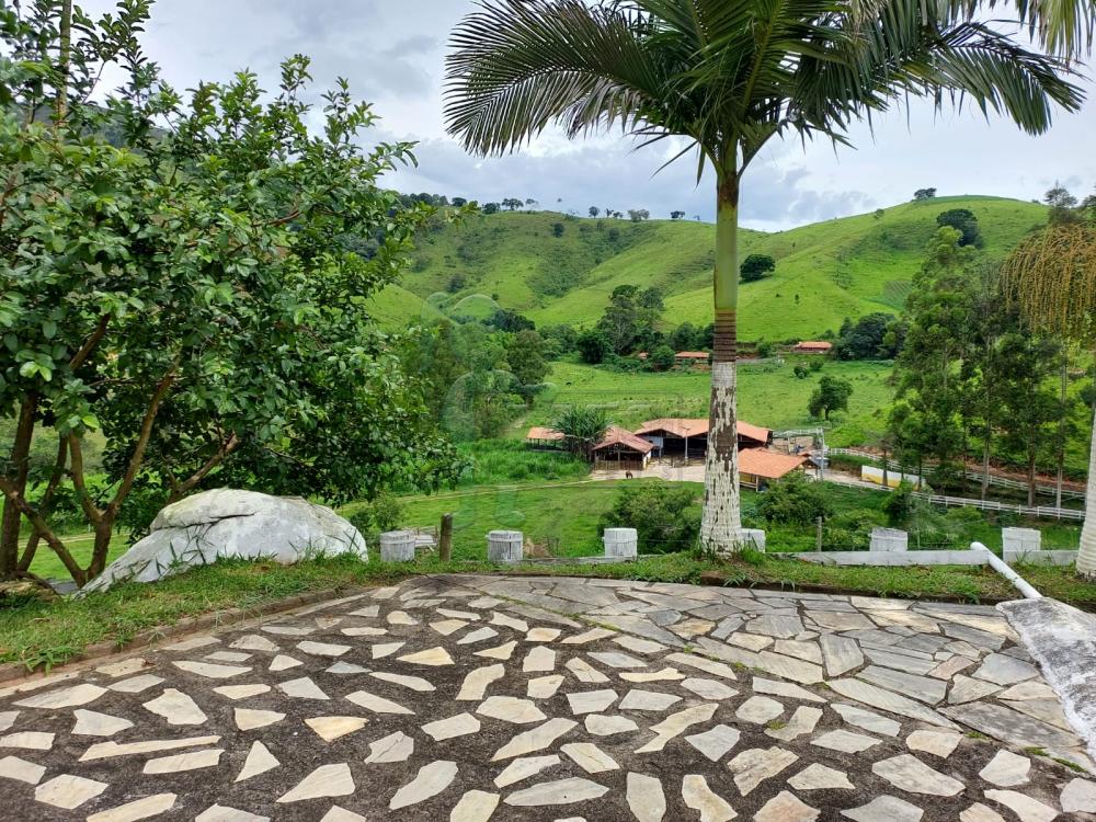 Comprar Rural / Fazenda em Cunha R$ 2.250.000,00 - Foto 8