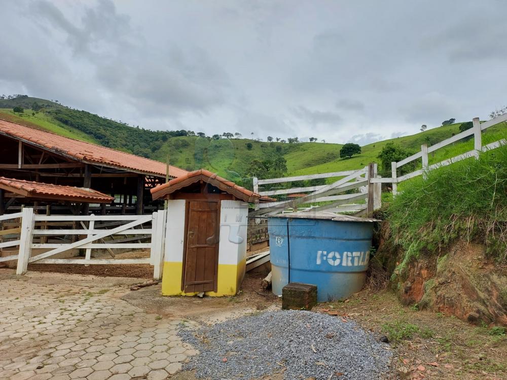 Comprar Rural / Fazenda em Cunha R$ 2.250.000,00 - Foto 17