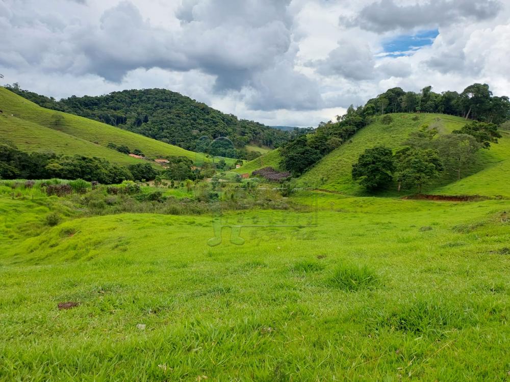 Comprar Rural / Fazenda em Cunha R$ 2.250.000,00 - Foto 18