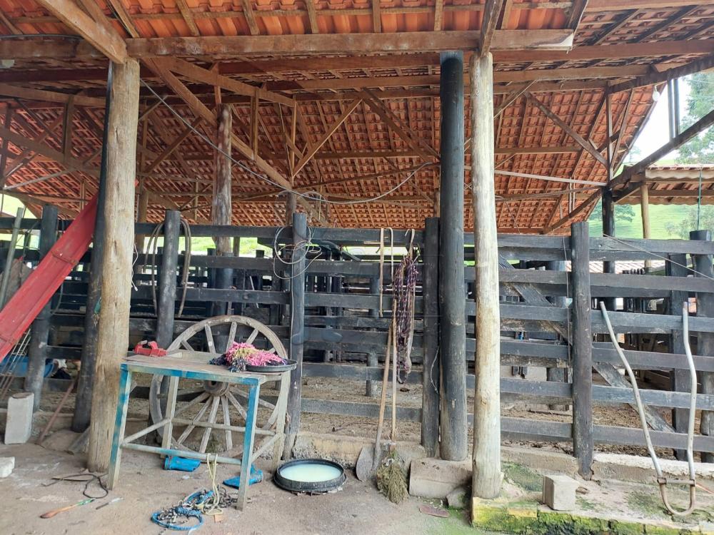 Comprar Rural / Fazenda em Cunha R$ 2.250.000,00 - Foto 22