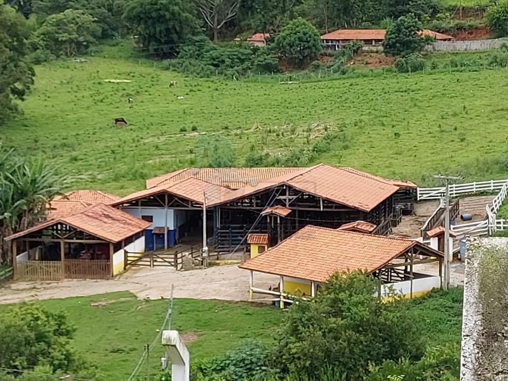 Comprar Rural / Fazenda em Cunha R$ 2.250.000,00 - Foto 1