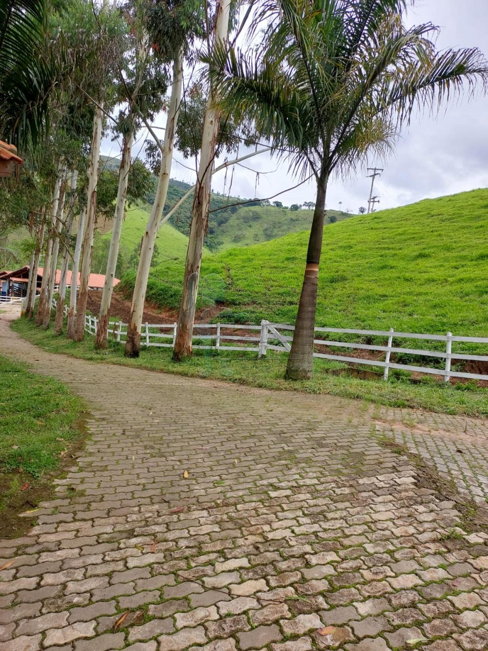 Comprar Rural / Fazenda em Cunha R$ 2.250.000,00 - Foto 25